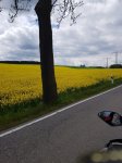 Mai/Juni 2019 Erzgebirge